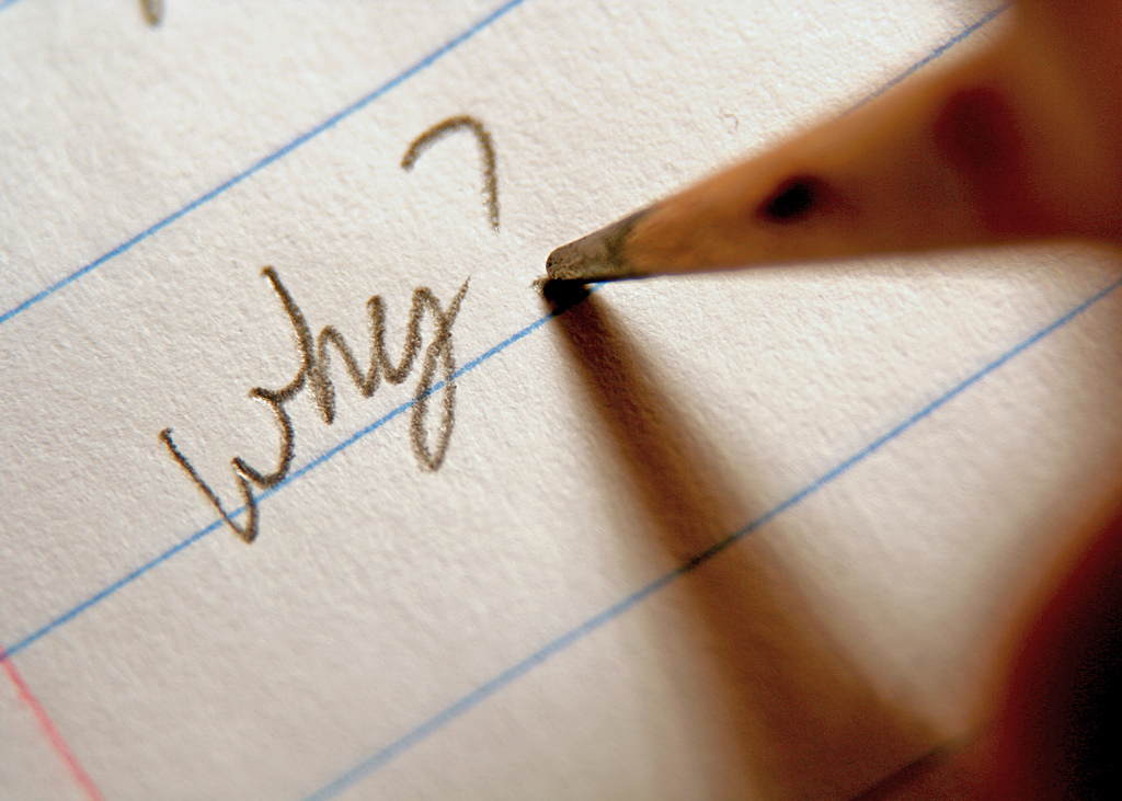 Pourquoi, comment... Les petites histoires et réponses de Weekly !