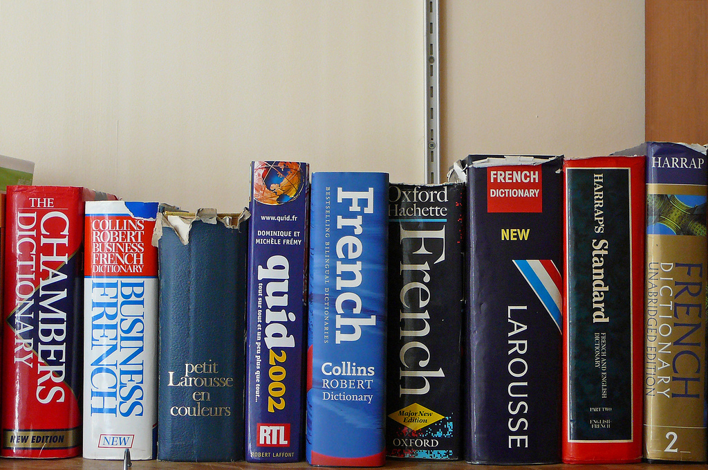 Qui choisit les nouveaux mots du dictionnaire ?