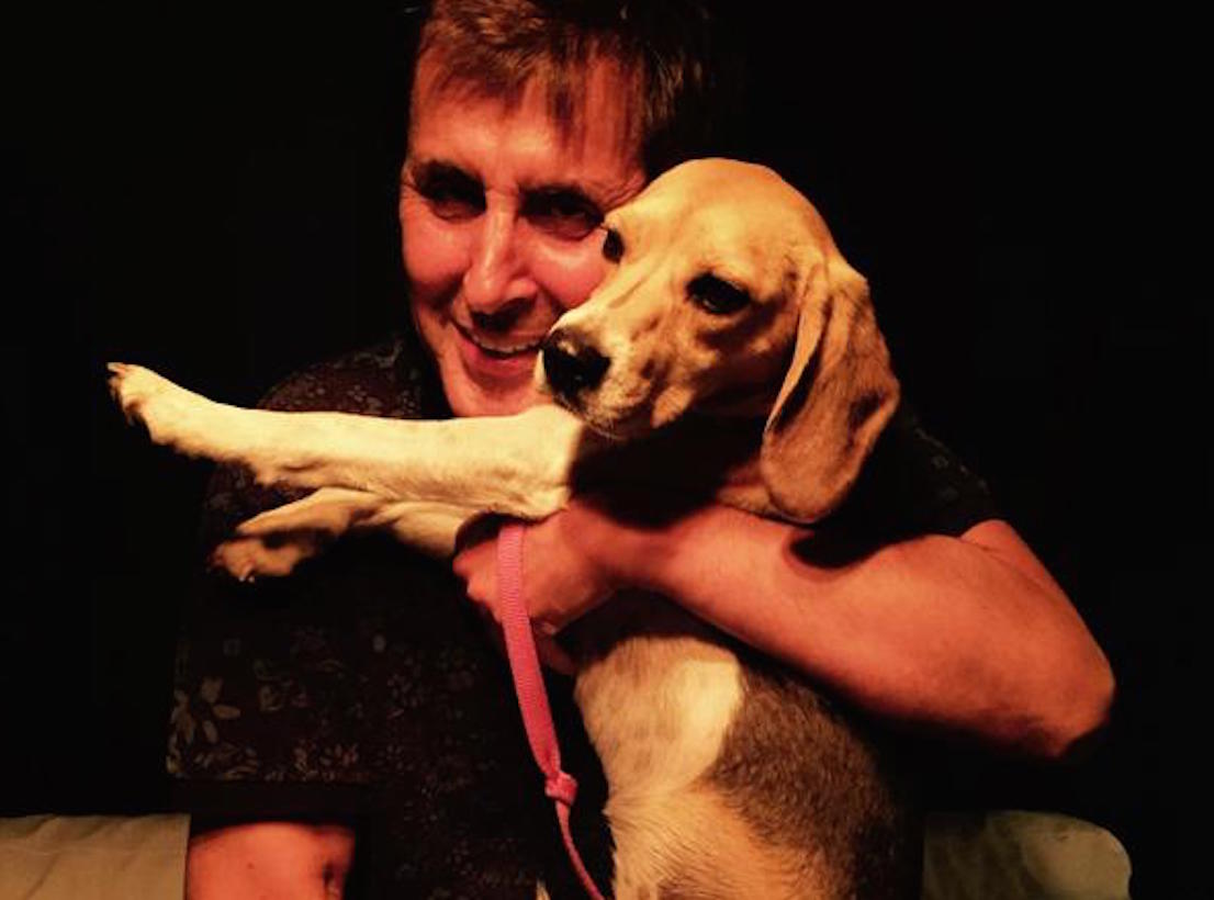 Un chien retrouvé, du lancer de tong et le mondial de décorticage de crevettes