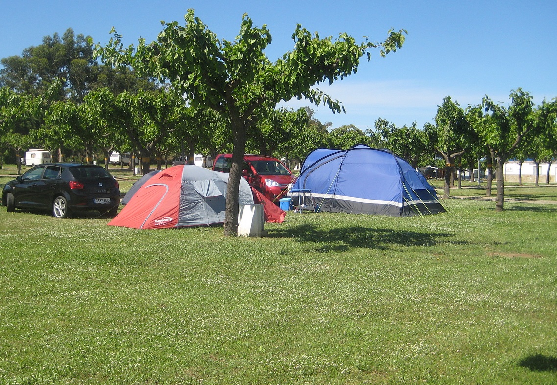 Souvenir de vacances : le camping, c’est pas has been