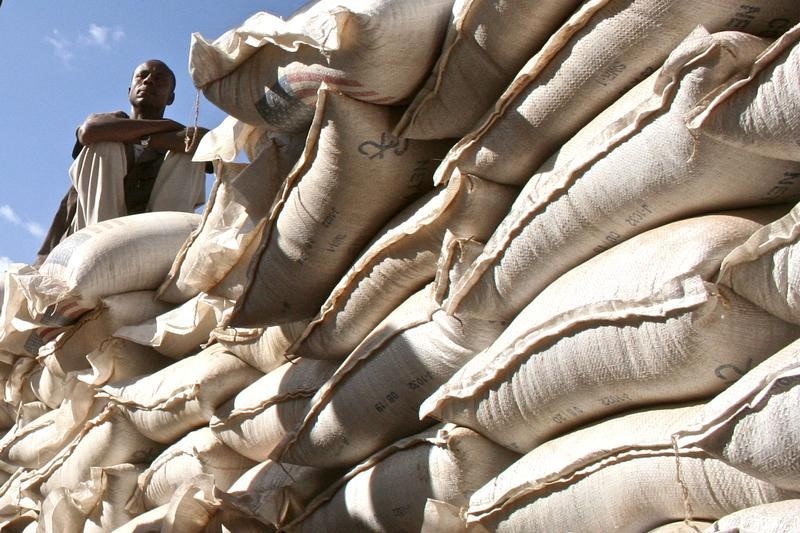 10 millions d'Éthiopiens face à une pénurie alimentaire en 2016