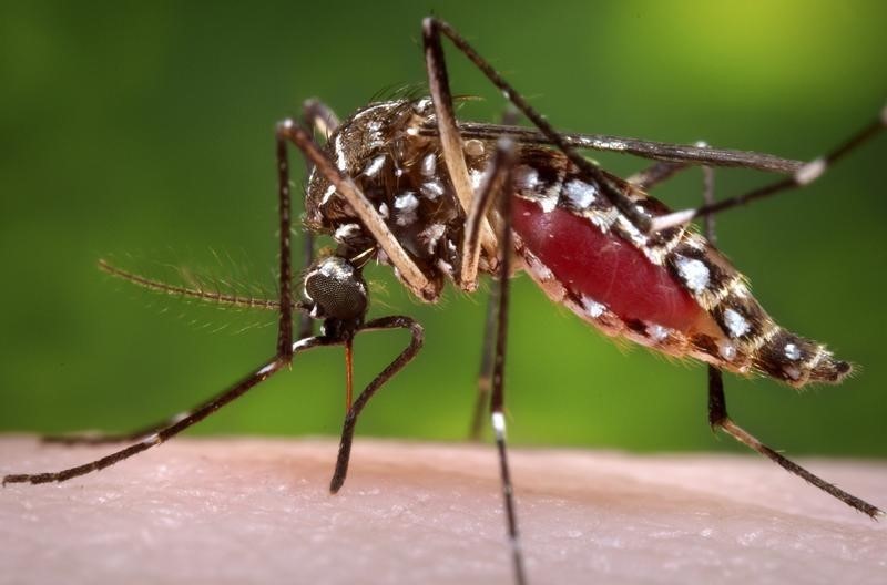 Appel à renforcer la prise en compte de deux maladies tropicales