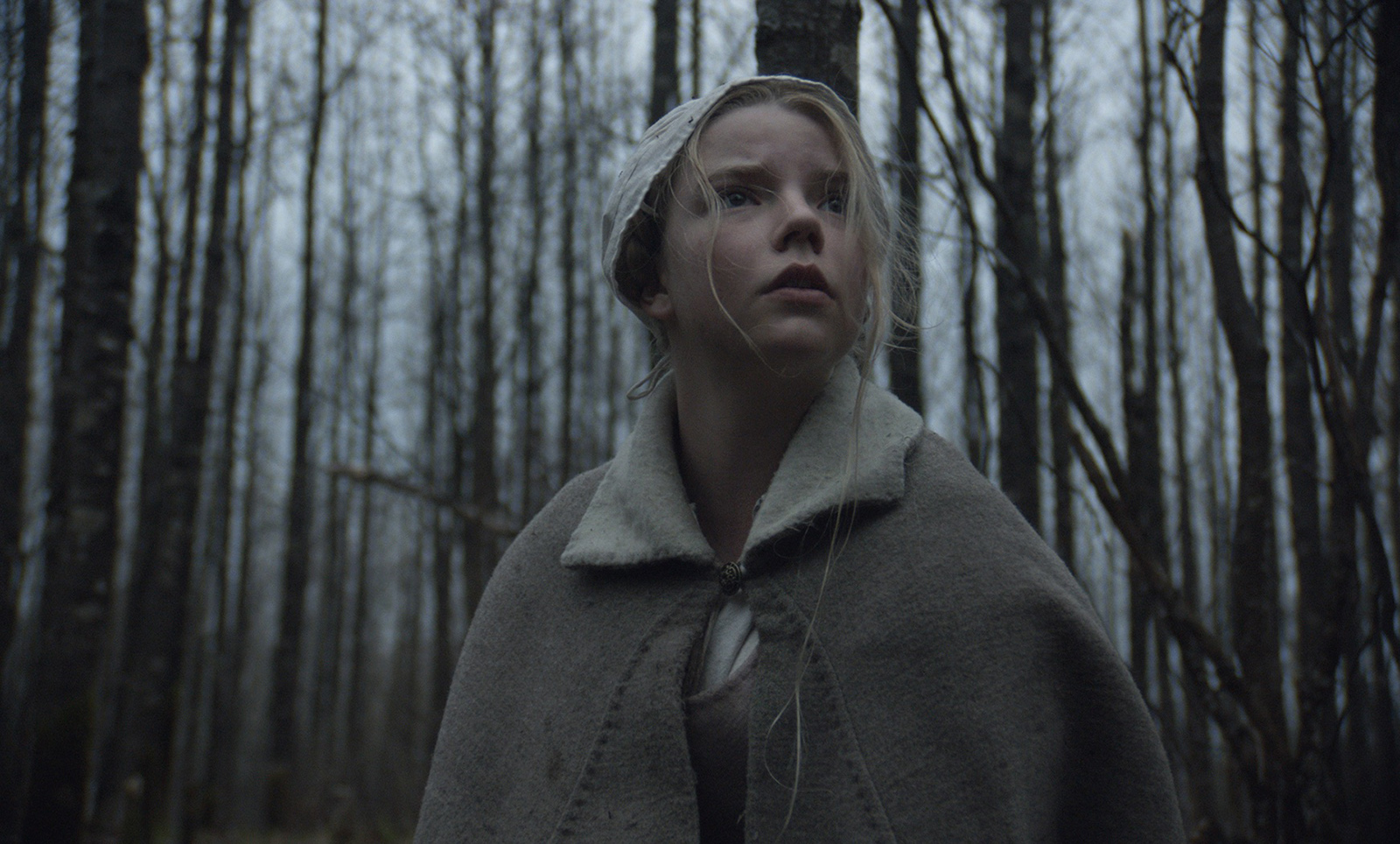 Cinéma : L'idéal, The Witch, Le Traître idéal... les sorties de la semaine 