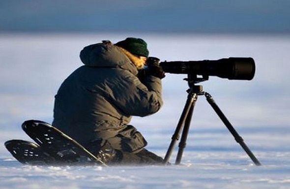 Une réserve marine en Antarctique, Bob Dylan et son Nobel, et Ryan Gosling en Rambo
