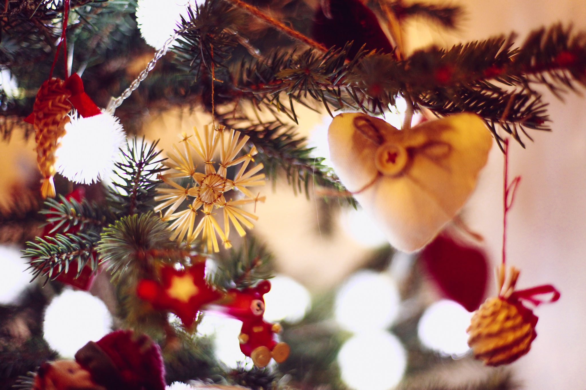Sapin, crèche, bûche : d’où viennent les symboles de Noël ?