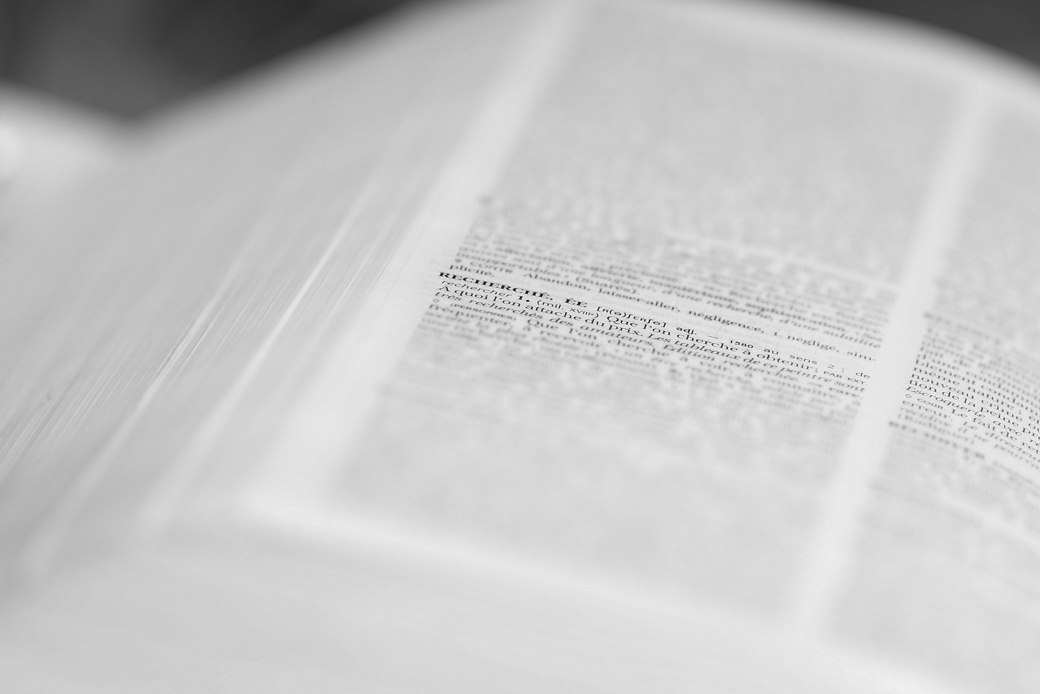 Petit Larousse et Robert illustré : la guerre des nouveaux mots du dico