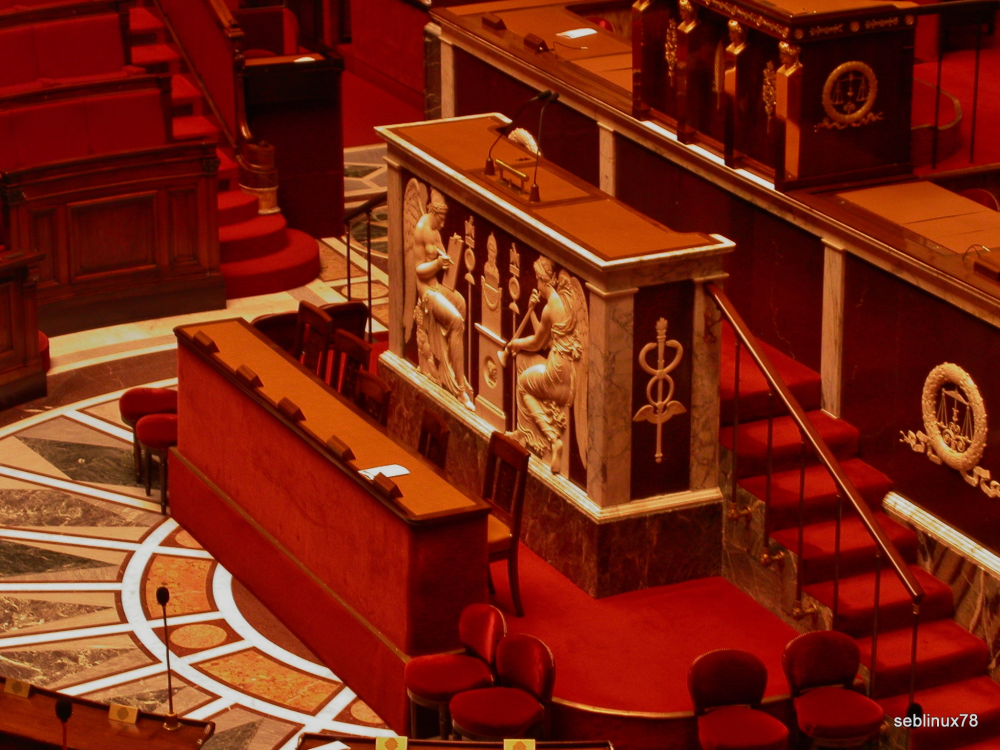 Comment ça se passe quand on est député à l’Assemblée nationale pour la première fois ?
