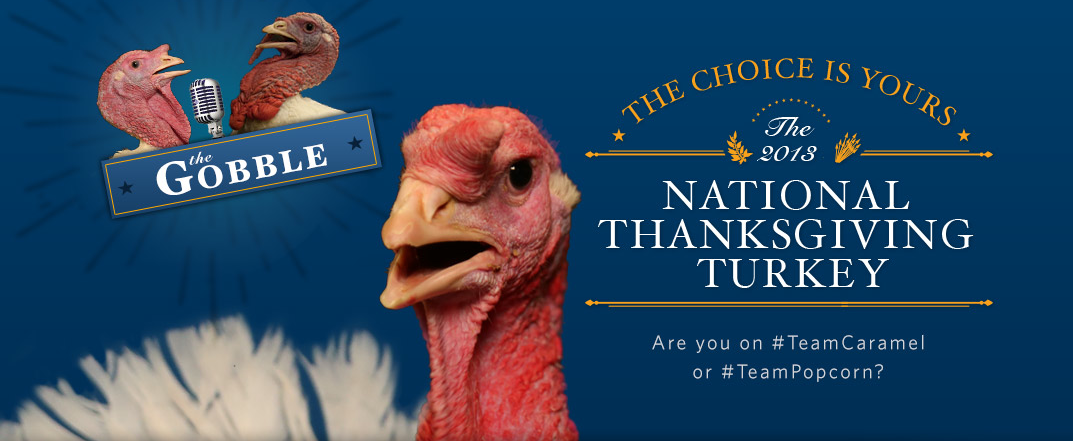 Joyeux Thanksgiving, sauf pour les dindes !
