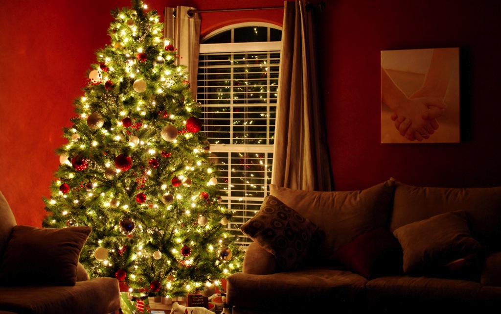 Petite histoire du sapin de Noël