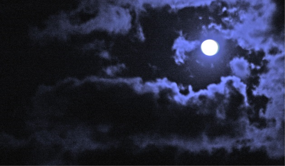 Anticiper un anévrisme, une super lune bleue et les deux Corée unies pour les JO