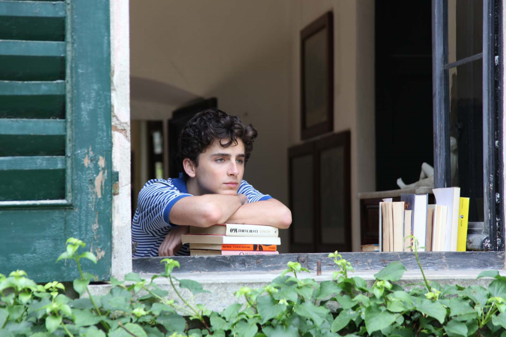Cinéma : Call me by your name, Lady Bird, La Ch'tite famille...les sorties de la semaine