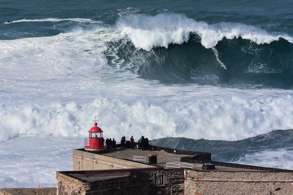 Feu tricolore, vague de Nazaré et un chat à Belfort