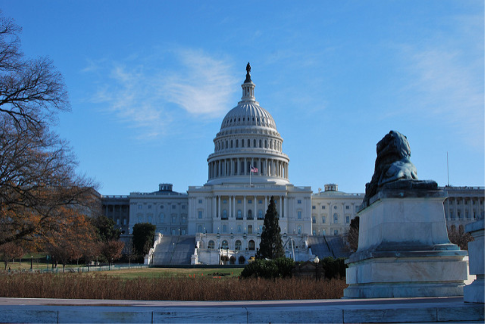 Élections américaines 2018 : les midterms, ça sert à quoi ?