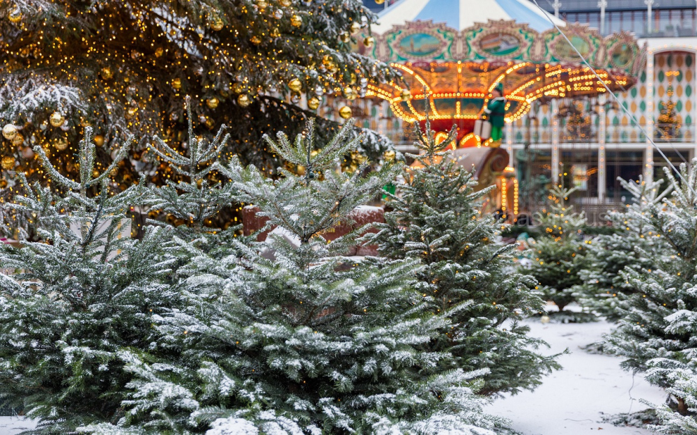 Noël : le sapin de l'Élysée, des illuminations et la journée du pull moche