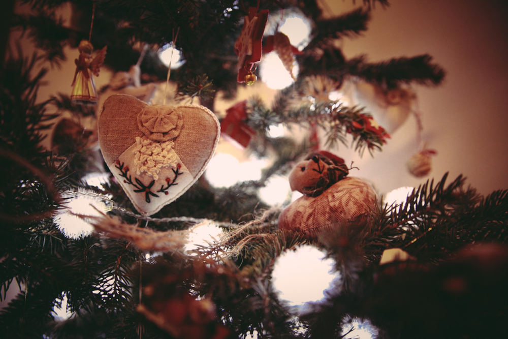D'où vient le sapin de Noël ?