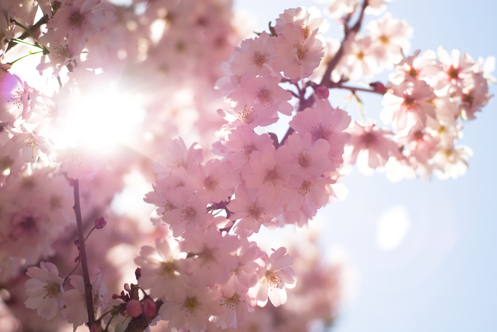 Pourquoi le printemps tombe un 20 mars et pas le 21 ?