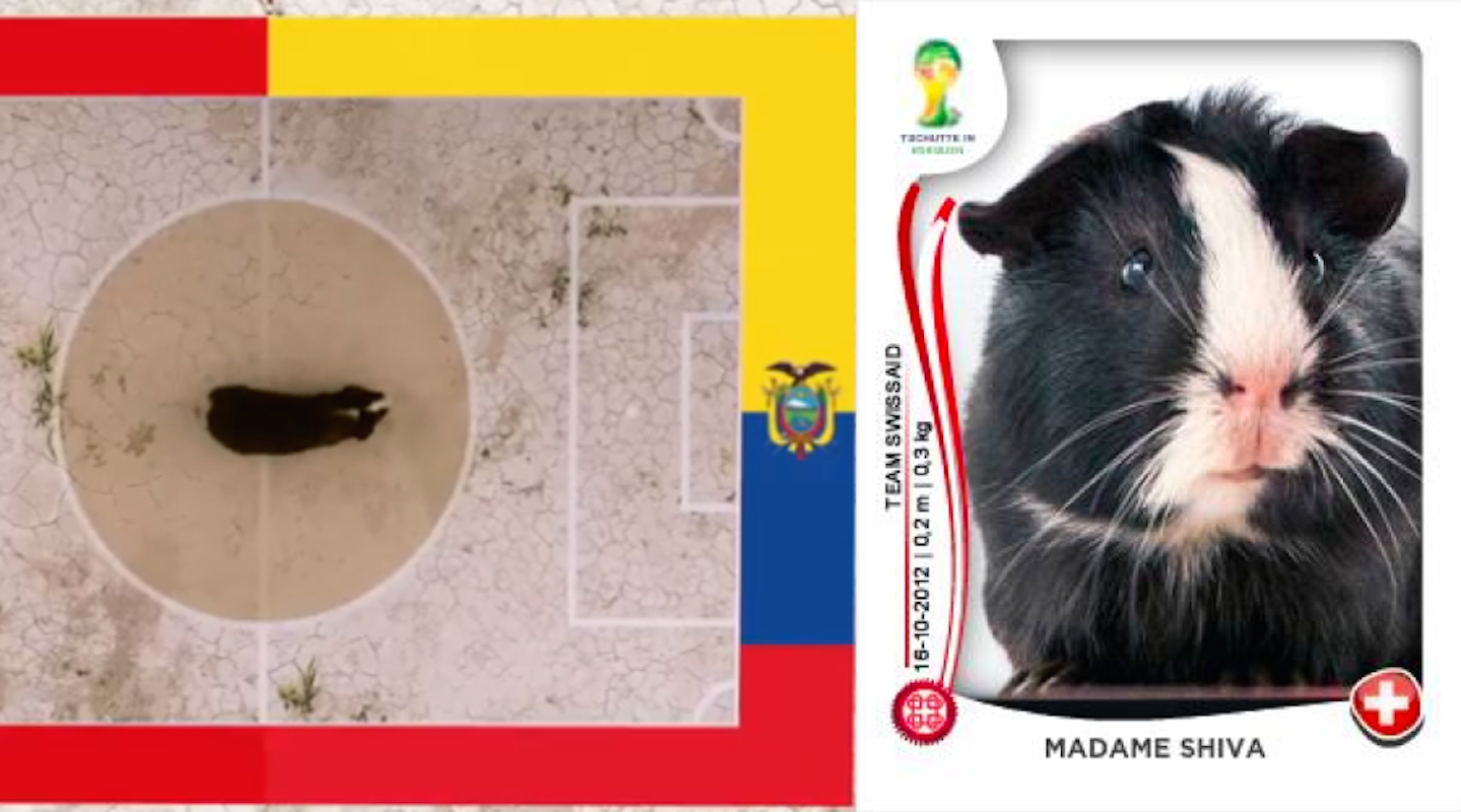 Mondial au Brésil : les pronos de Madame Shiva !