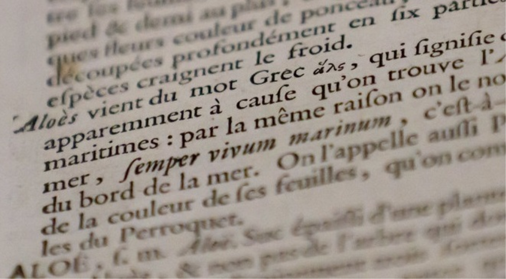 Grand débat : conseils pour Macron, tel Sisyphe, sans carabinade ni kakemphaton