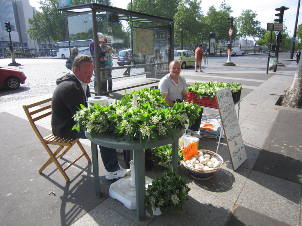 Muguet du 1er mai : de beaux brins, du bonheur mais des règles à suivre !