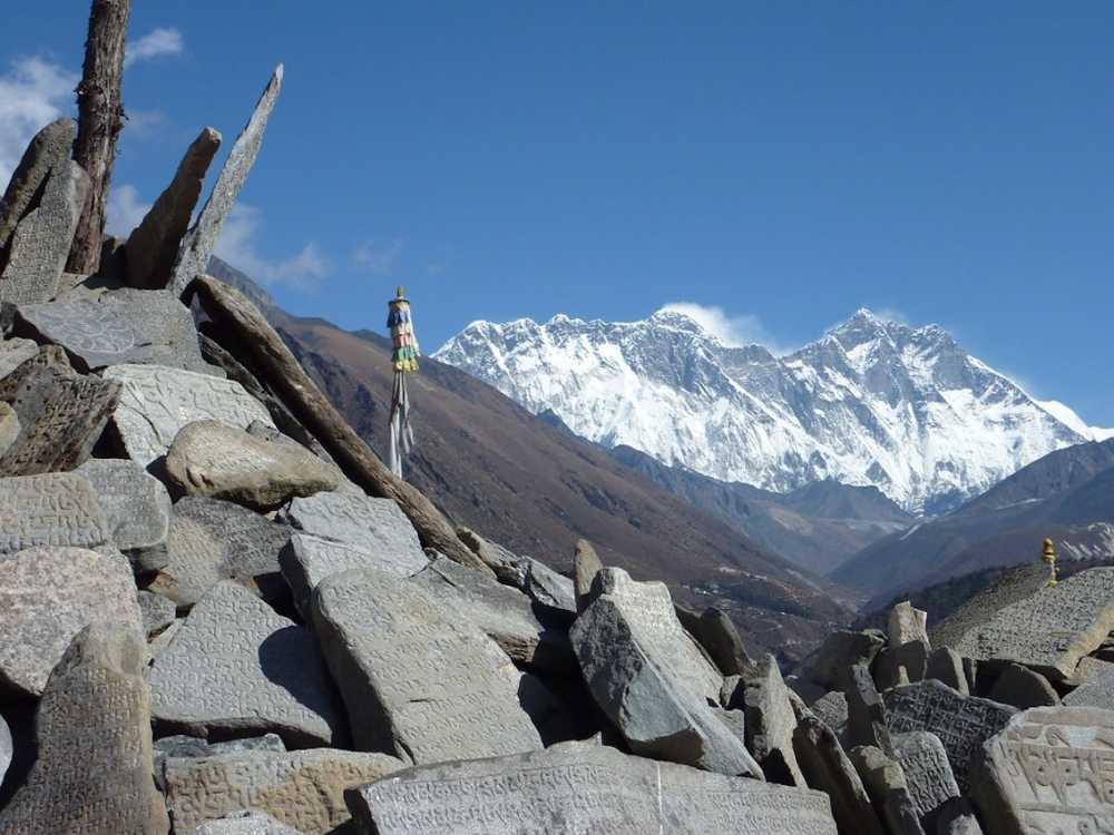 Monet et Koons, Everest record et la Cité de la Peur