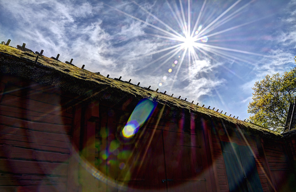 Canicule : d'où vient ce mot ?