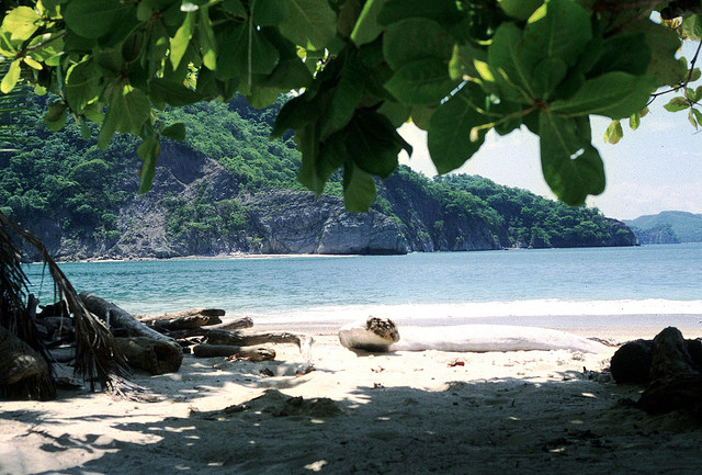 Je partirais bien… au Costa Rica