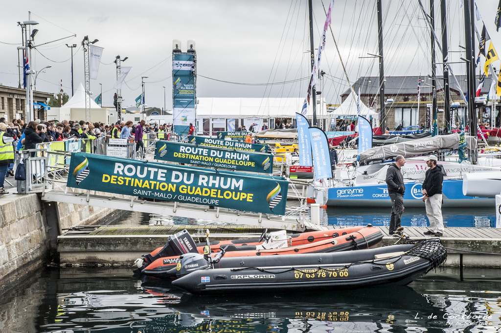 L’essentiel de l’actu sportive du 8 au 14 novembre 2014